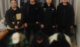 警察爆料洗钱案件视频大全,警察爆料案件视频大全深度解析